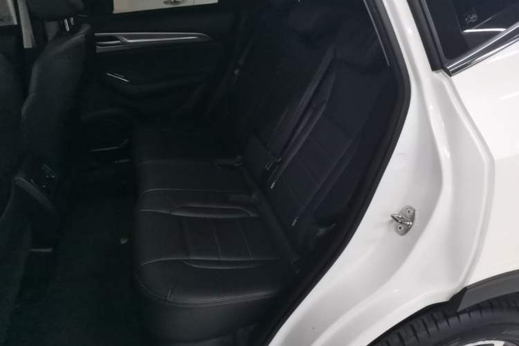 Used Haval F7 2020 1.5T Two-Wheel Drive i-Trend Left Rear Seat
