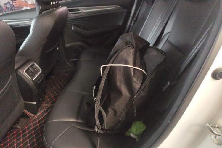 Used Haval F7 2020 1.5T Two-Wheel Drive i-Trend Left Rear Seat