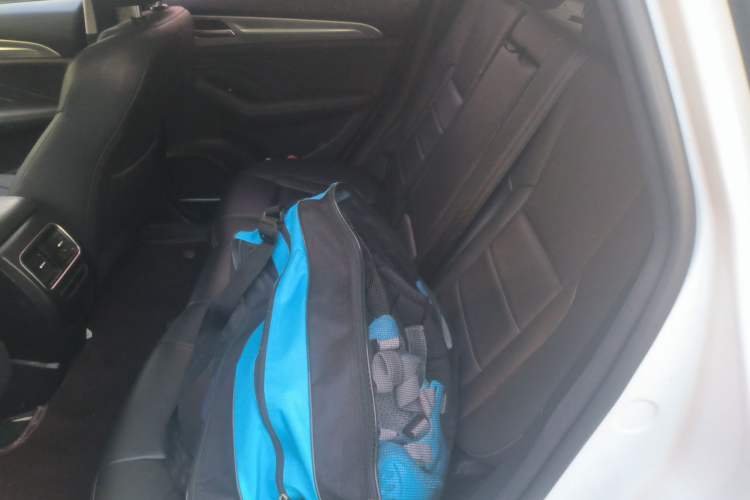 Used Haval F7 2020 2.0T Two-Wheel Drive i-Active Left Rear Seat