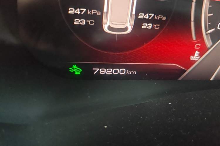 Used Haval F7 2020 1.5T Two-Wheel Drive i-Trend Odometer Close Up
