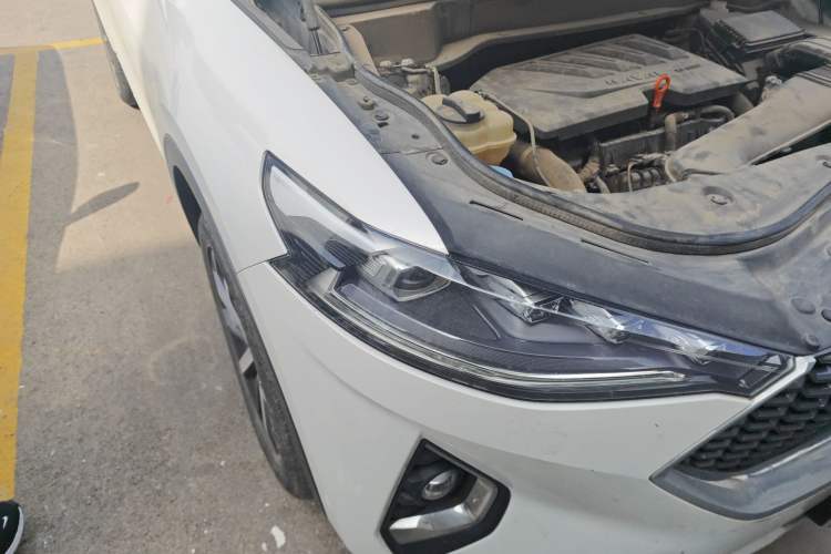 Used Haval F7 2020 1.5T Two-Wheel Drive i-Type Right Front Headlight