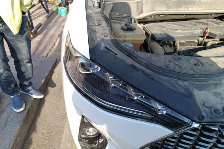 Used Haval F7 2020 1.5T Two-Wheel Drive i-Type Right Front Headlight