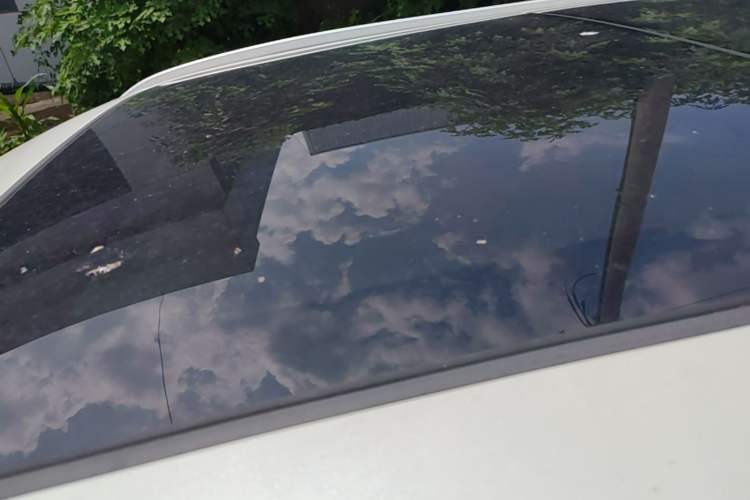 Used Haval F7 2020 1.5T Two-Wheel Drive i-Trend Roof