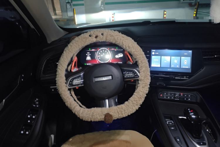 Used Haval F7 2020 1.5T Two-Wheel Drive i-Trend Steering Wheel