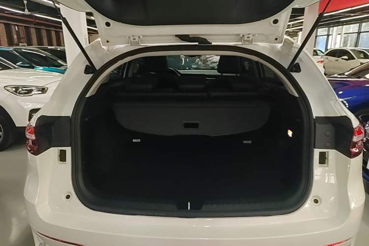 Used Haval F7 2020 2.0T Two-Wheel Drive i-Van Trunk