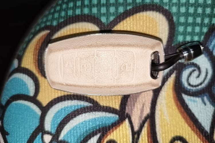 Used Haval F7 2020 1.5T Two-Wheel Drive i-Type Vehicle Key
