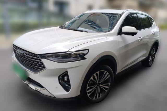 Haval F7 2020 2.0T Two-Wheel Drive i-Van usado