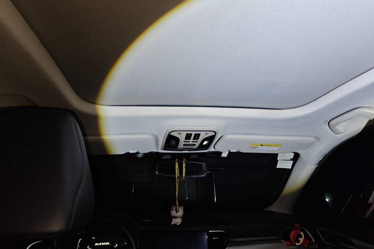 Used Haval F7 2021 1.5T Two-Wheel Drive iXuan Headliner