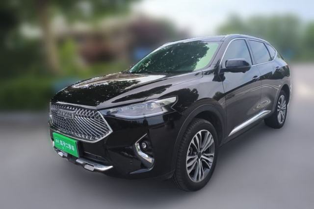 Used Haval F7 2021 2.0T Two-Wheel Drive i-Van