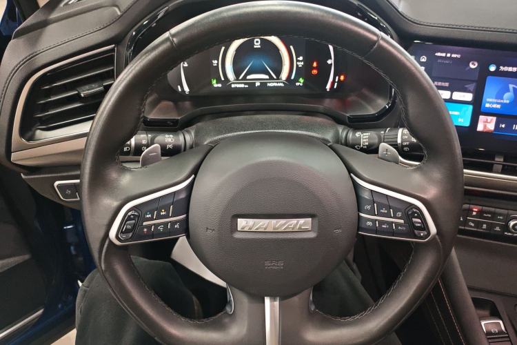 Used Haval F7 2021 2.0T Two-Wheel Drive i-Active Steering Wheel