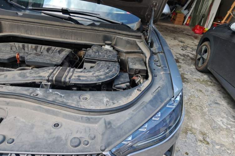 Used Haval F7 2021 1.5T Two-Wheel Drive i-Type Engine Bay Left