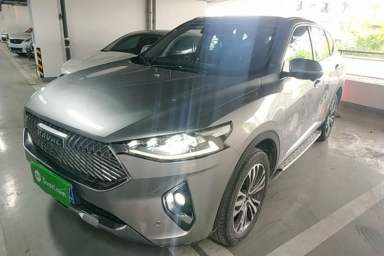 Used Haval F7 2021 2.0T Two-Wheel Drive i-Van