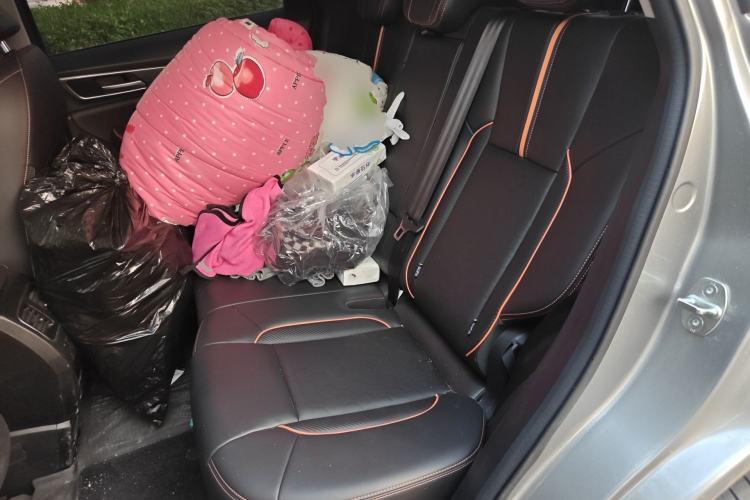 Used Haval F7 2021 2.0T Two-Wheel Drive i-Van Left Rear Seat