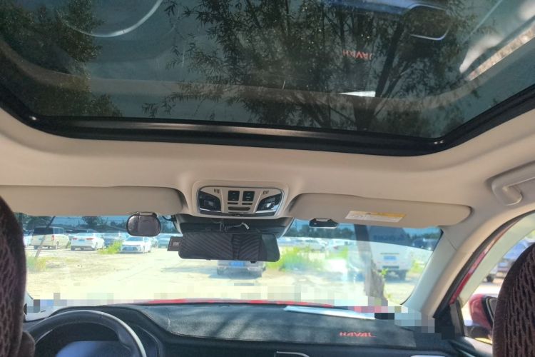 Used Haval F7 2021 1.5T Two-Wheel Drive i-Type Headliner