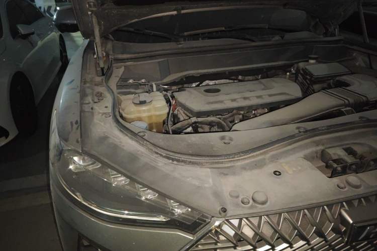 Used Haval F7 2021 2.0T Two-Wheel Drive i-Van Engine Bay Right
