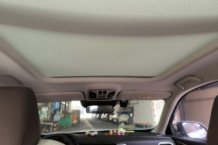 Used Haval F7 2021 1.5T Two-Wheel Drive i-Type Headliner