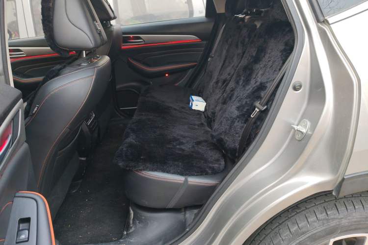 Used Haval F7 2021 1.5T Two-Wheel Drive i-Type Left Rear Seat