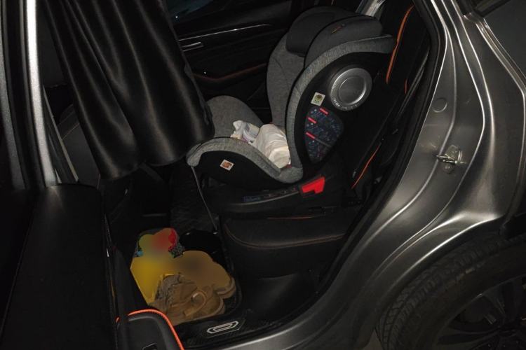 Used Haval F7 2021 2.0T Two-Wheel Drive i-Van Left Rear Seat