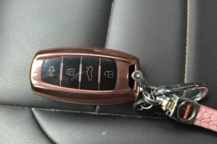 Used Haval F7 2021 2.0T Two-Wheel Drive i-Van Vehicle Key