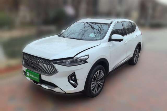 Used Haval F7 2021 2.0T Two-Wheel Drive i-Van