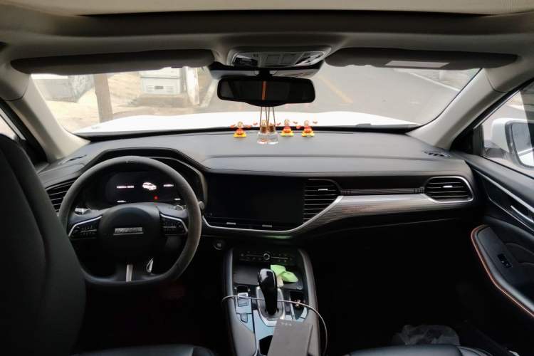 Used Haval F7 2021 1.5T Two-Wheel Drive i-Trend Center Console