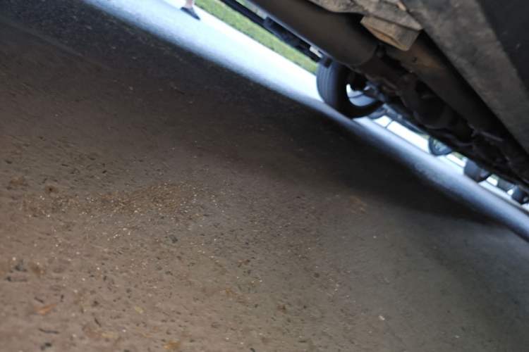 Used Haval F7 2021 1.5T Two-Wheel Drive i-Trend Chassis Rear Right