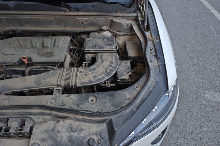 Used Haval F7 2021 1.5T Two-Wheel Drive i-Trend Engine Bay Left