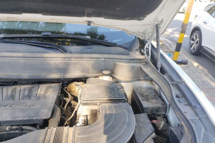 Used Haval F7 2021 1.5T Two-Wheel Drive i-Trend Engine Bay Left