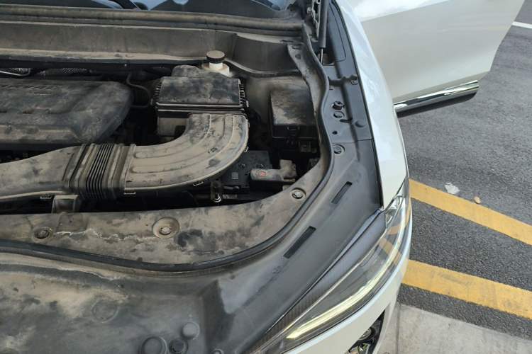 Used Haval F7 2021 2.0T All-Wheel Drive iJoy Engine Bay Left
