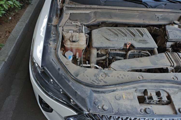 Used Haval F7 2021 1.5T Two-Wheel Drive i-Trend Engine Bay Right