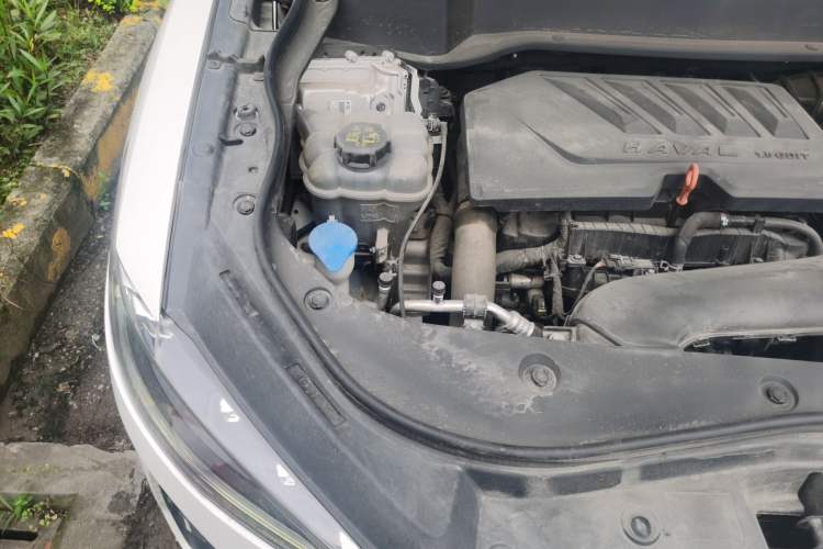 Used Haval F7 2021 1.5T Two-Wheel Drive i-Type Engine Bay Right