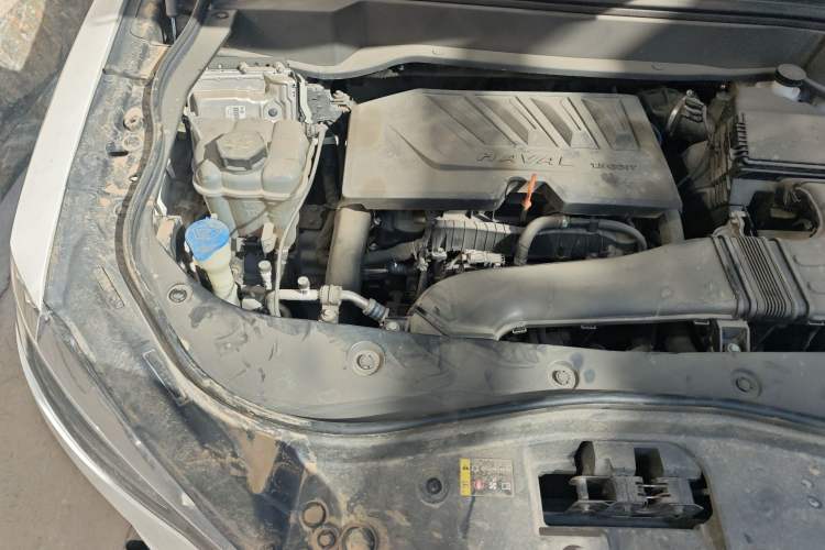 Used Haval F7 2021 1.5T Two-Wheel Drive iXuan Engine Bay Right