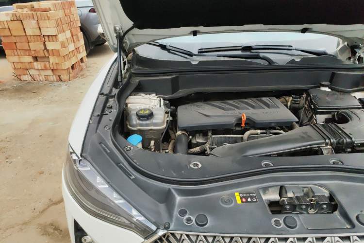 Used Haval F7 2021 1.5T Two-Wheel Drive i-Trend Engine Bay Right