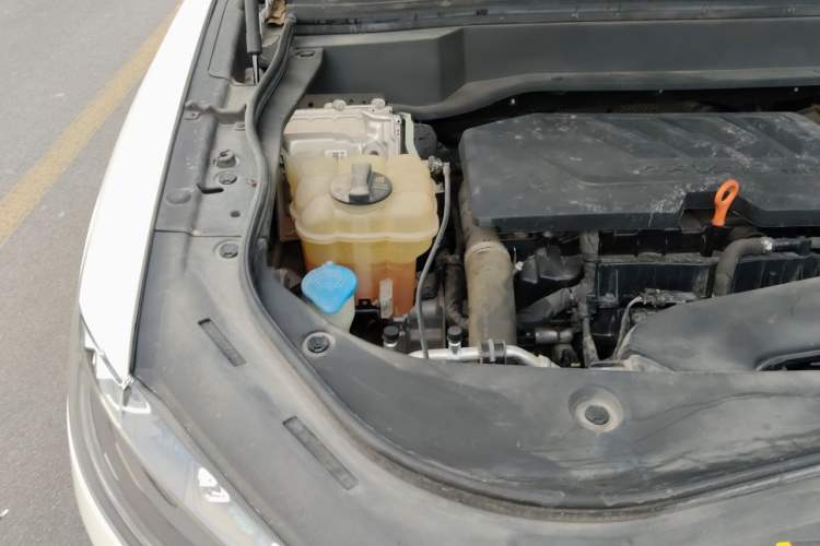 Used Haval F7 2021 1.5T Two-Wheel Drive i-Trend Engine Bay Right