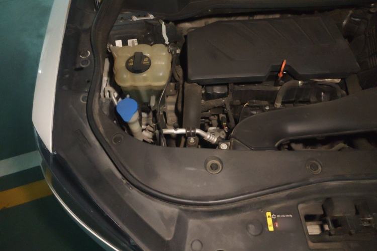 Used Haval F7 2021 1.5T Two-Wheel Drive i-Trend Engine Bay Right