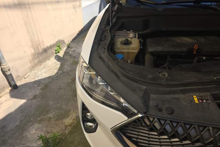 Used Haval F7 2021 1.5T Two-Wheel Drive i-Type Engine Bay Right