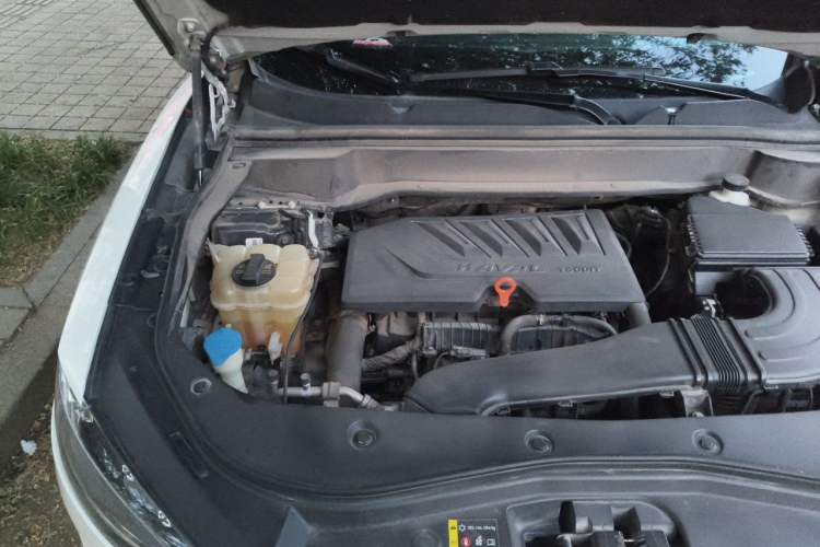 Used Haval F7 2021 1.5T Two-Wheel Drive i-Type Engine Bay Right