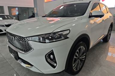 Used Haval F7 2021 2.0T Two-Wheel Drive i-Active
