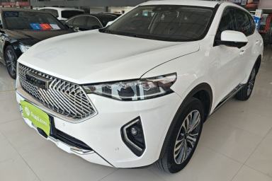 Used Haval F7 2021 2.0T Two-Wheel Drive i-Van
