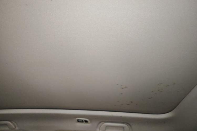 Used Haval F7 2021 1.5T Two-Wheel Drive i-Trend Headliner