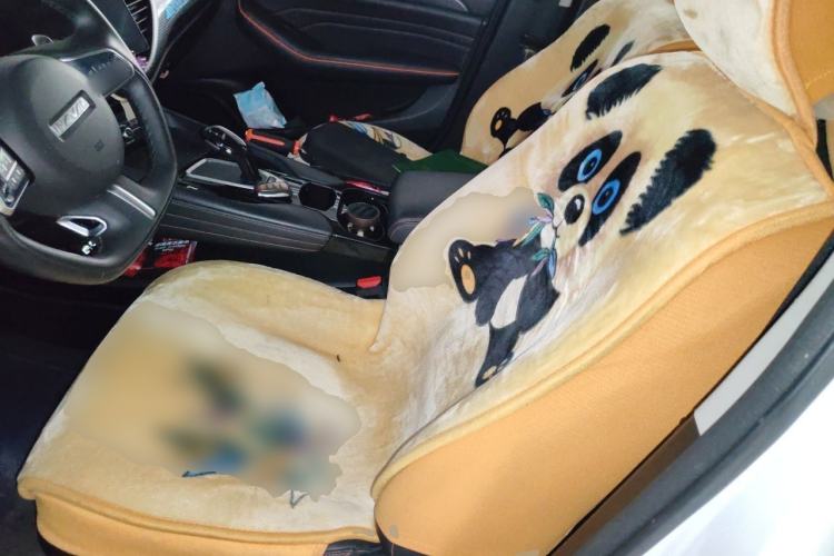 Used Haval F7 2021 1.5T Two-Wheel Drive i-Trend Left Front Seat