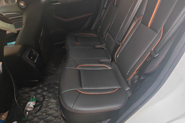 Used Haval F7 2021 1.5T Two-Wheel Drive i-Trend Left Rear Seat