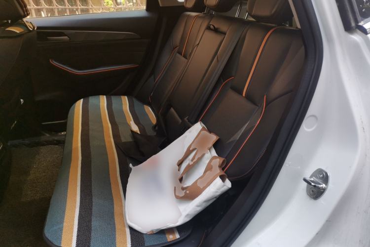 Used Haval F7 2021 1.5T Two-Wheel Drive i-Trend Left Rear Seat