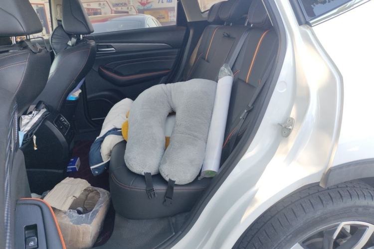 Used Haval F7 2021 1.5T Two-Wheel Drive i-Trend Left Rear Seat