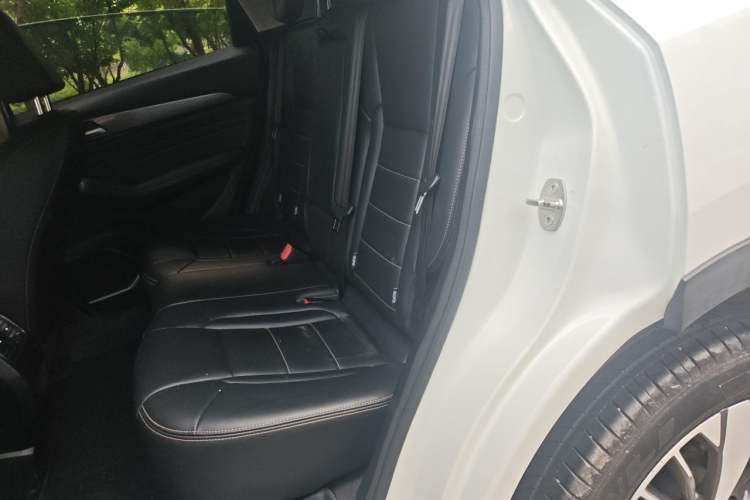 Used Haval F7 2021 1.5T Two-Wheel Drive i-Type Left Rear Seat