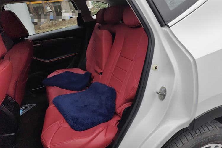 Used Haval F7 2021 2.0T Two-Wheel Drive i-Van Left Rear Seat