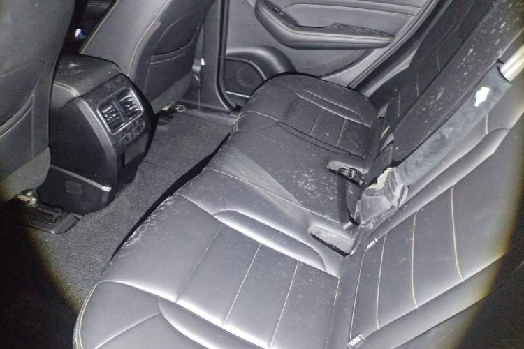 Used Haval F7 2021 1.5T Two-Wheel Drive i-Trend Left Rear Seat
