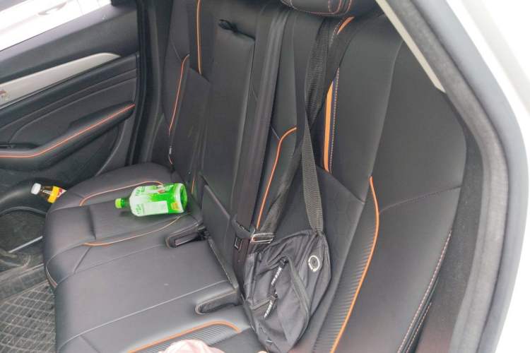 Used Haval F7 2021 1.5T Two-Wheel Drive iXuan Left Rear Seat