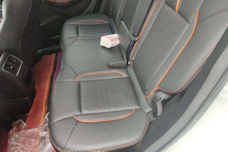 Used Haval F7 2021 2.0T Two-Wheel Drive i-Van Left Rear Seat