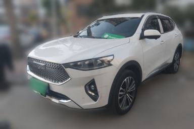 Used Haval F7 2021 2.0T Two-Wheel Drive i-Van